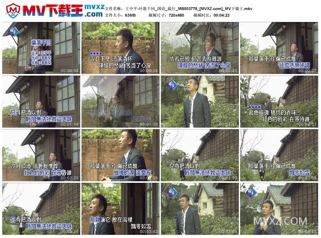 王中平-叶落千回_国语_流行_MB503778